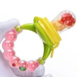 Silicone Baby Fruit Pacifier Nibbler with Rattle - ঝুনঝুনি সহ ফ্রুট চুষনি